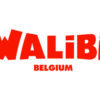 Walibi Belgien: Erneuerung der "Challenge Of Tutankhamon"