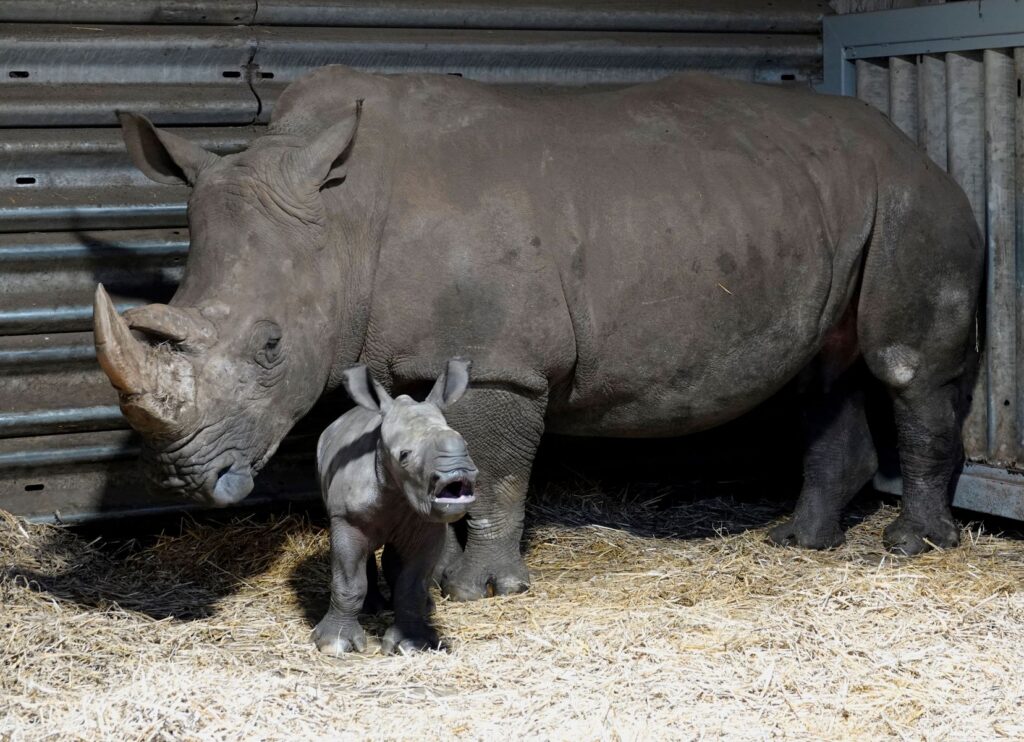 Serengeti-Park: Saisonstart in die Jubiläumssaison