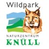 Wildpark Knüll: Bärennachwuchs