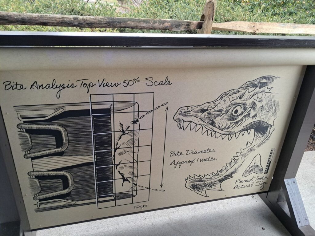 Busch Gardens Williamsburg: Loch Ness Monster