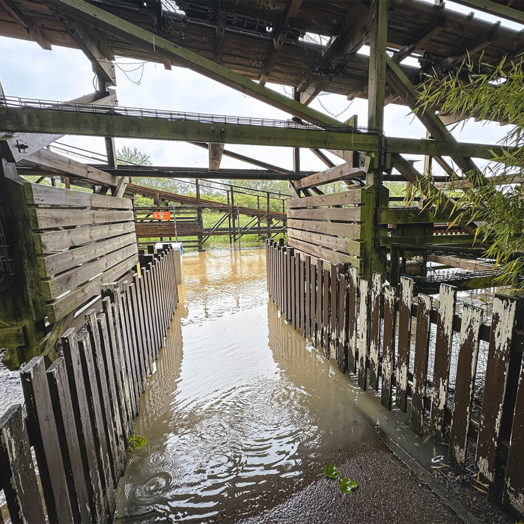 Walygator Grand Est: Unwetterinfomationen