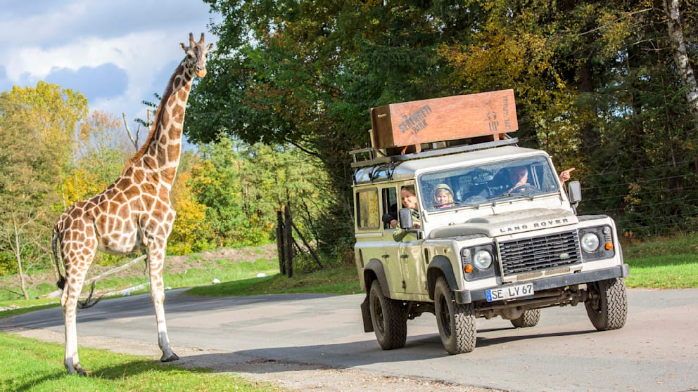 Serengeti-Park: Freier Eintritt mit BILD+
