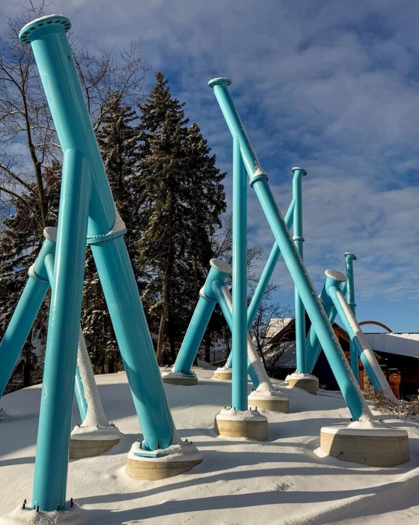 Canada's Wonderland: Alpenfury (2025)