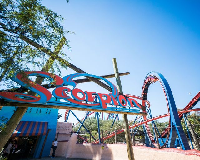 Busch Gardens Tampa Bay: Schließung Scorpion