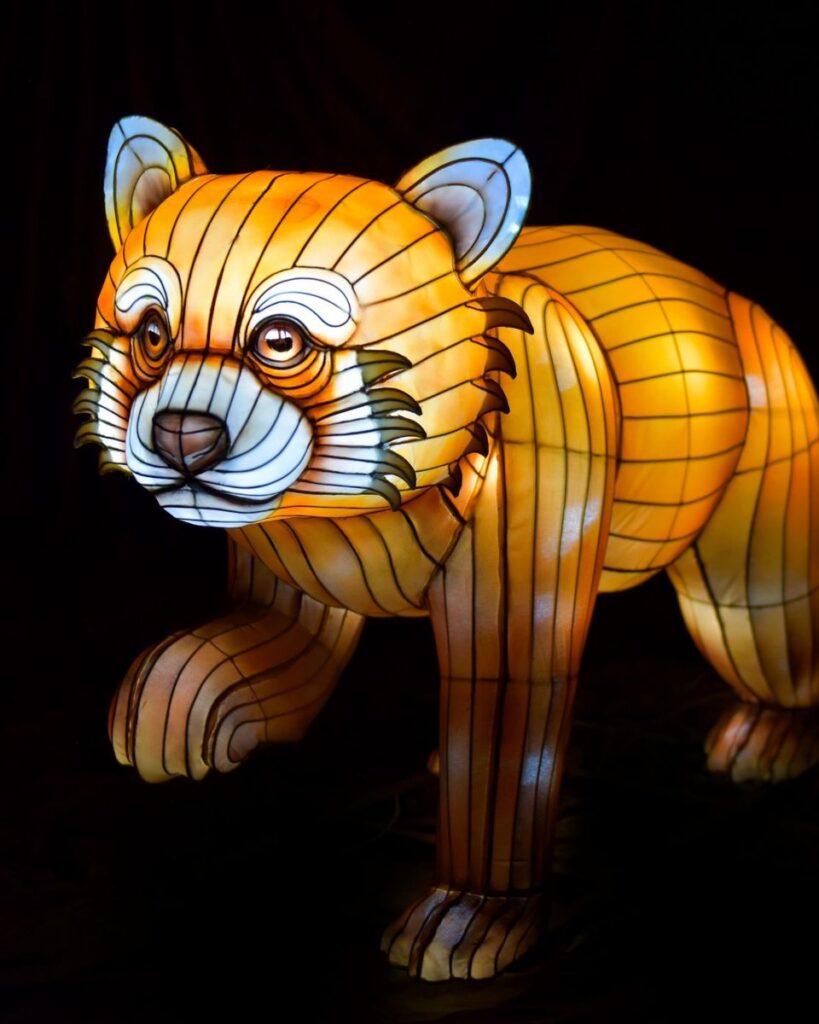 Serengeti-Park: Lichterfestival