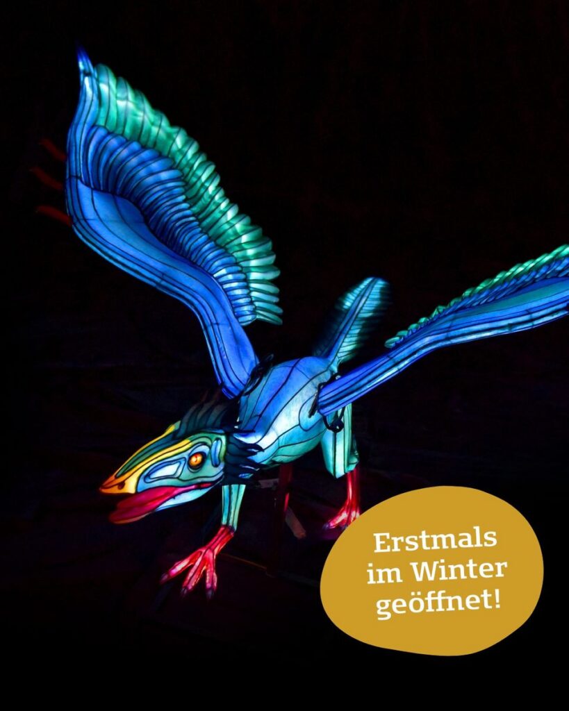 Serengeti-Park: Lichterfestival