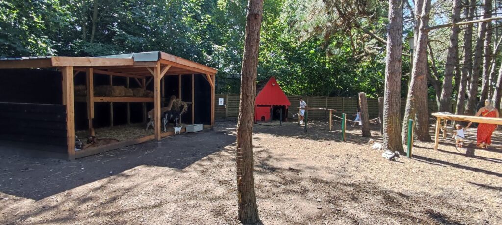 Boudewijn Seapark: Renovierungsarbeiten