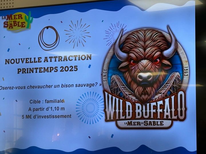 La Mer De Sable: Wild Buffalo