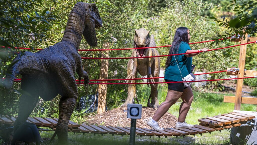 Adventure Valley Durbuy: Dino Mission