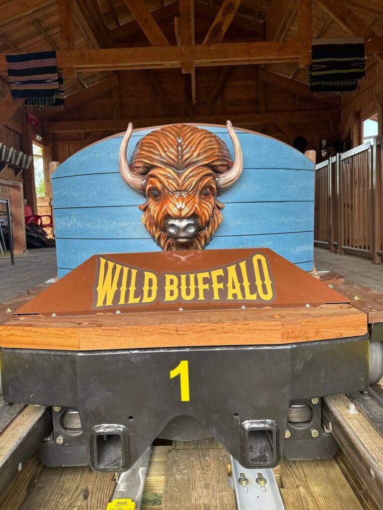 La Mer De Sable: Wild Buffalo