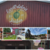 Team on Tour - zu Besuch im ​LandErlebnis Janßen
