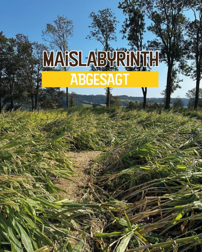 Eis Greissler: Maislabyrinth