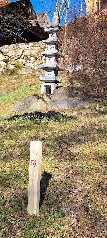 Freizeitpark Plohn: Dønnervind