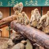 Ritter Rost Magic Park: 3 Events im September 2024