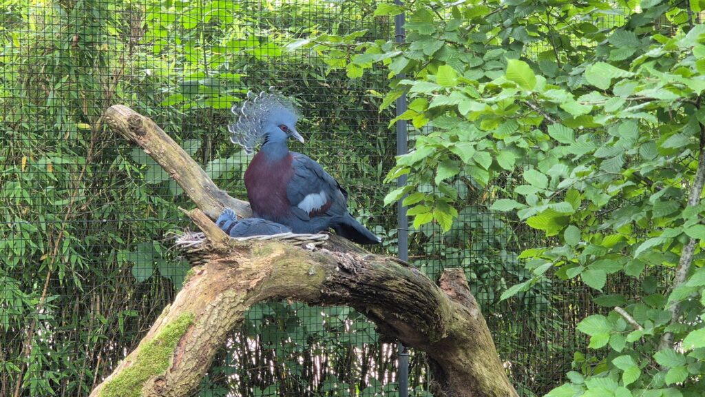 Team on Tour - zu Besuch im Tier- und Freizeitpark Thüle