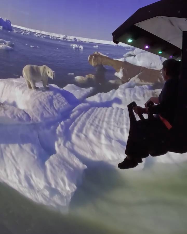 SeaWorld Orlando: Expedition Odyssey