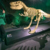 The Art Of The Brick: LEGO®-Ausstellung kommt nach Berlin