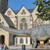 Dinoborn: Urzeit-Giganten hautnah erleben