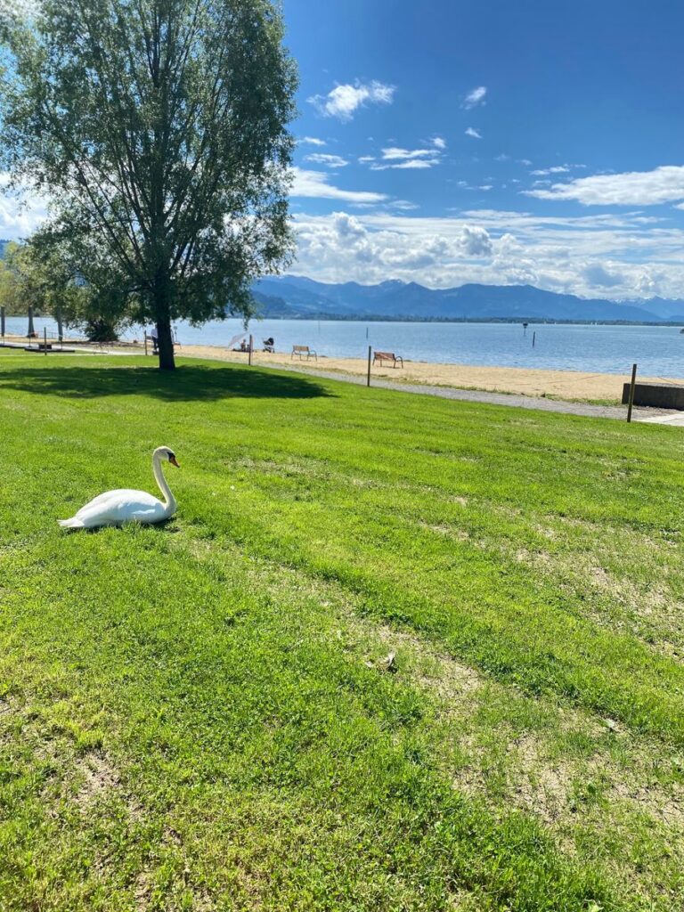 Therme Lindau: Strandbad wieder frei zugänglich