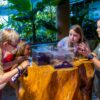 The Green Planet: Jungle Quest