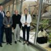 Tiergarten Schönbrunn: Große Pandas nach China zurückgekehrt