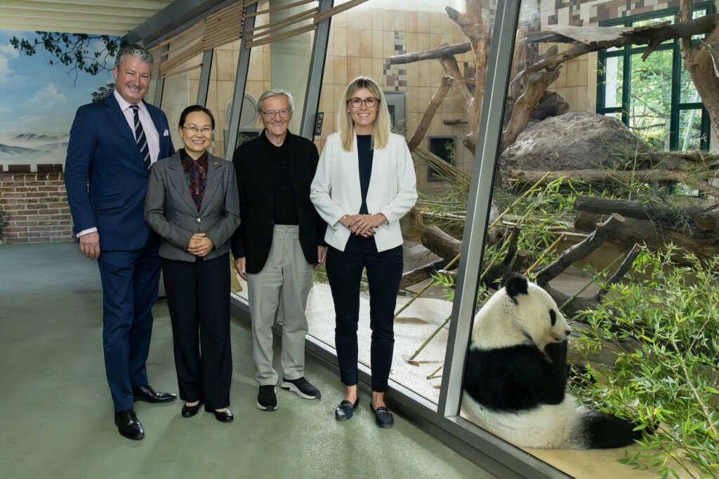 Tiergarten Schönbrunn: Große Pandas nach China zurückgekehrt