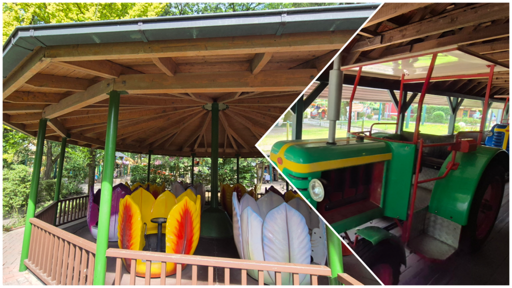 Team on Tour - zu Besuch im Tier- und Freizeitpark Thüle