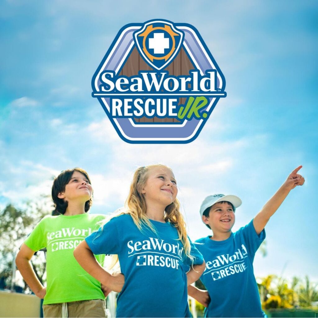 SeaWorld San Antonio: SeaWorld Rescue Jr.