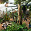 Zoo Frankfurt: Masterplan für die Zukunft
