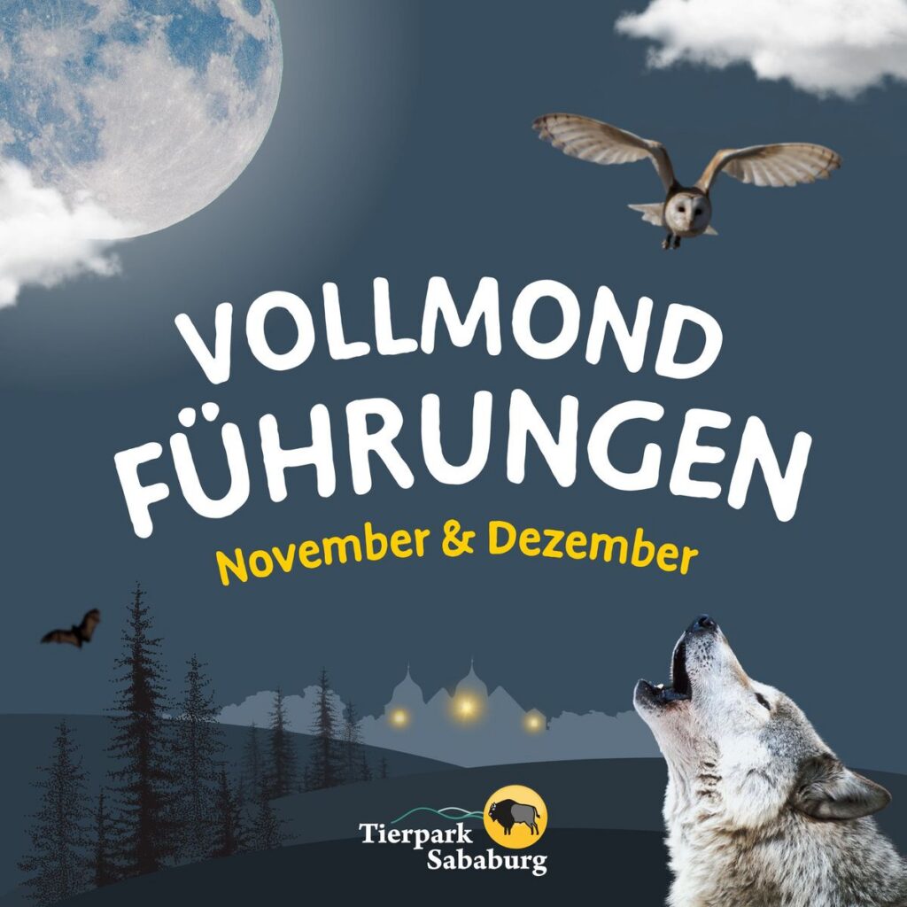 Tierpark Sababurg: Vollmondführungen