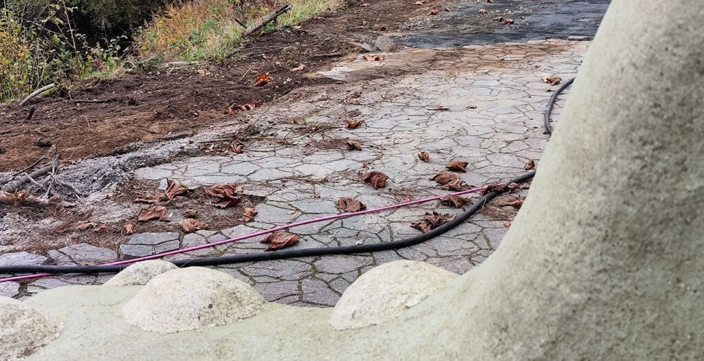 Phantasialand: Octowuzy