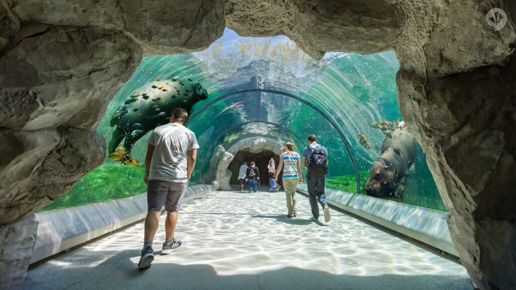 Zoo Frankfurt: Masterplan für die Zukunft