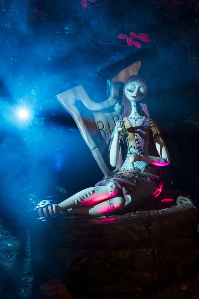 New York Botanical Garden: „Tim Burtons The Nightmare Before Christmas“ Light Trail
