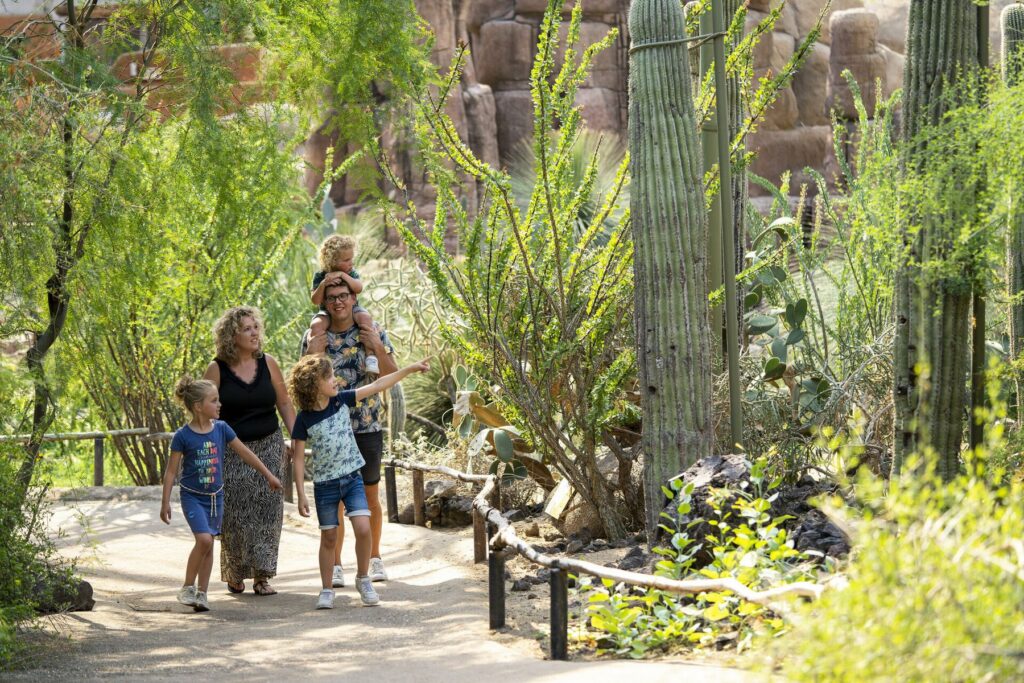 Burgers' Zoo: 2 Michelin-Sterne