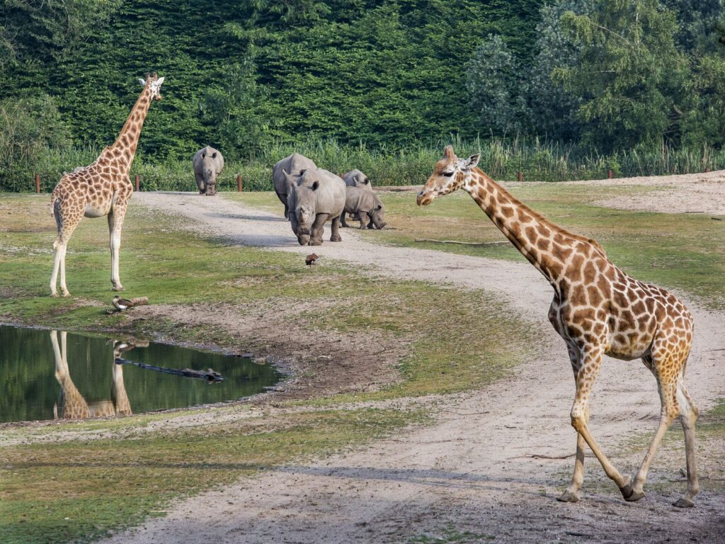 Burgers' Zoo: 2 Michelin-Sterne