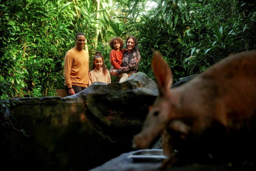 Burgers' Zoo: 2 Michelin-Sterne