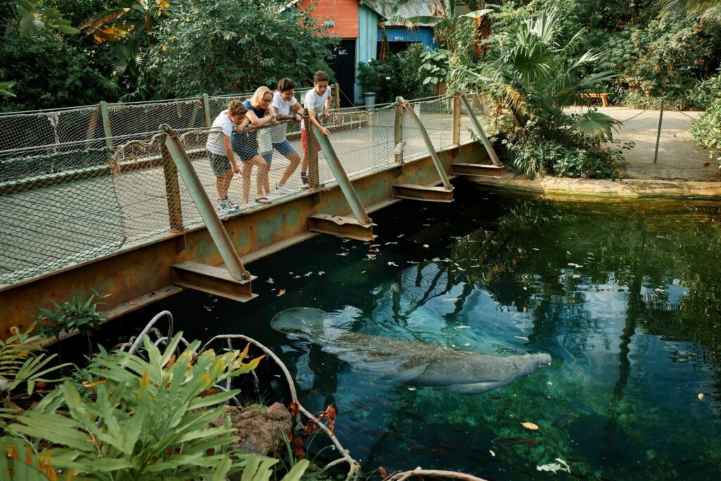 Burgers' Zoo: 2 Michelin-Sterne