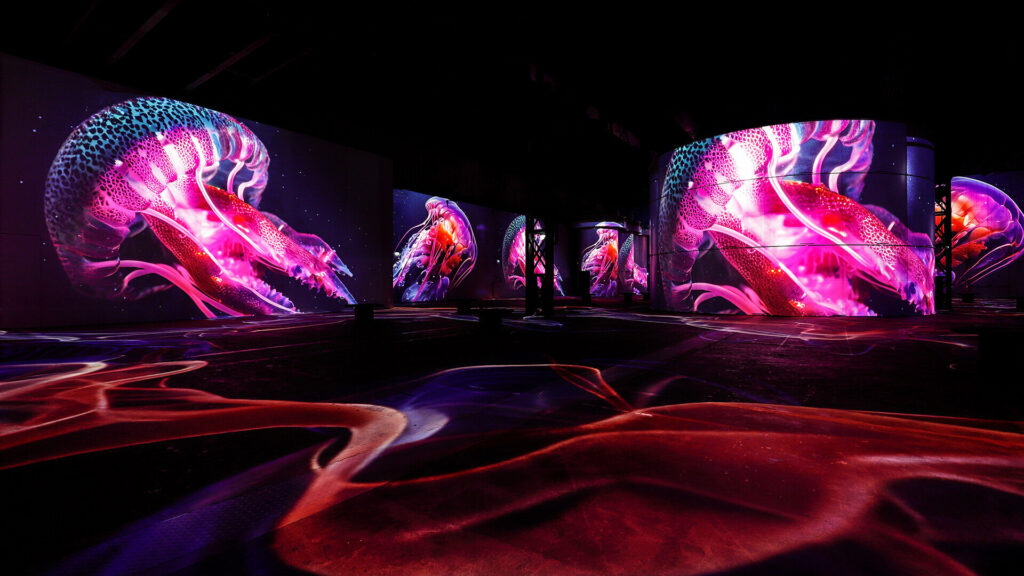 Phoenix des Lumières Dortmund: Wunderwelt Ozean