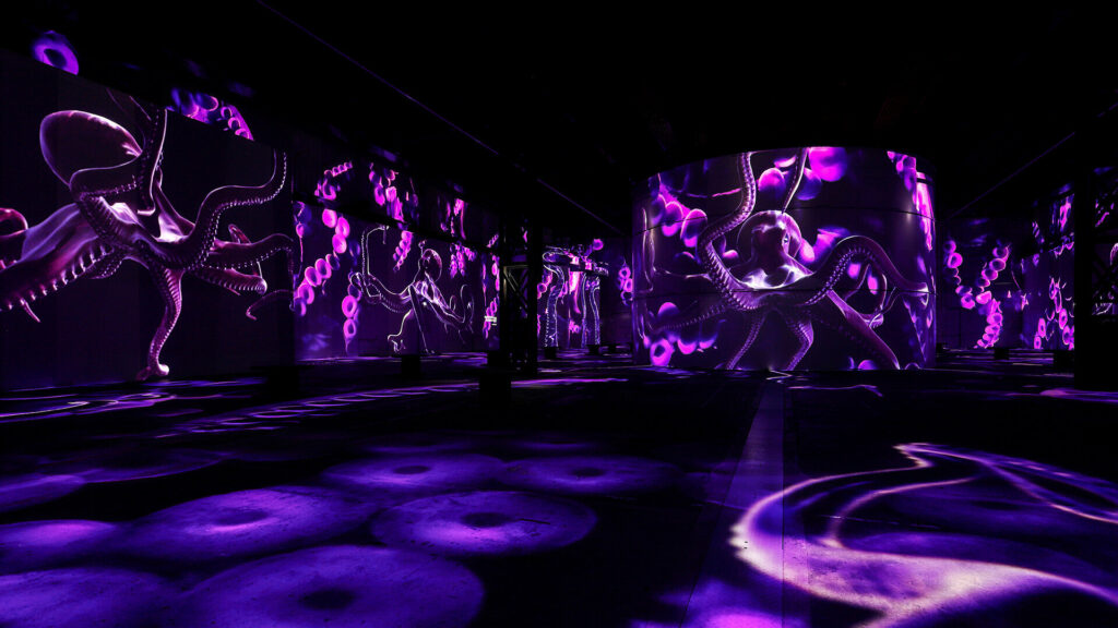 Phoenix des Lumières Dortmund: Wunderwelt Ozean