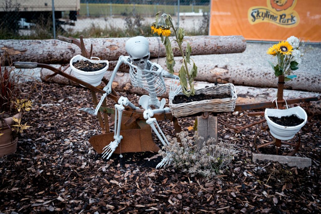 Skyline Park: Halloween 2024