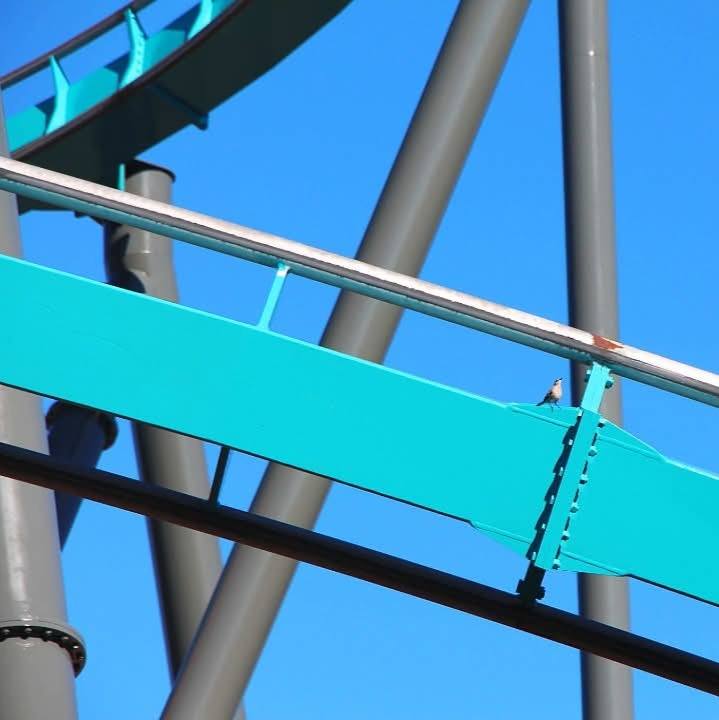 Six Flags Over Georgia: Goliath