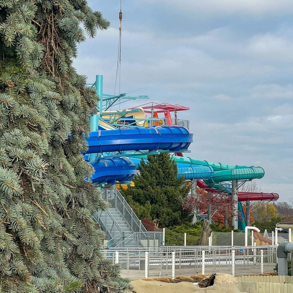 Dorney Park & Wildwater Kingdom: Lightning Falls & Cascade