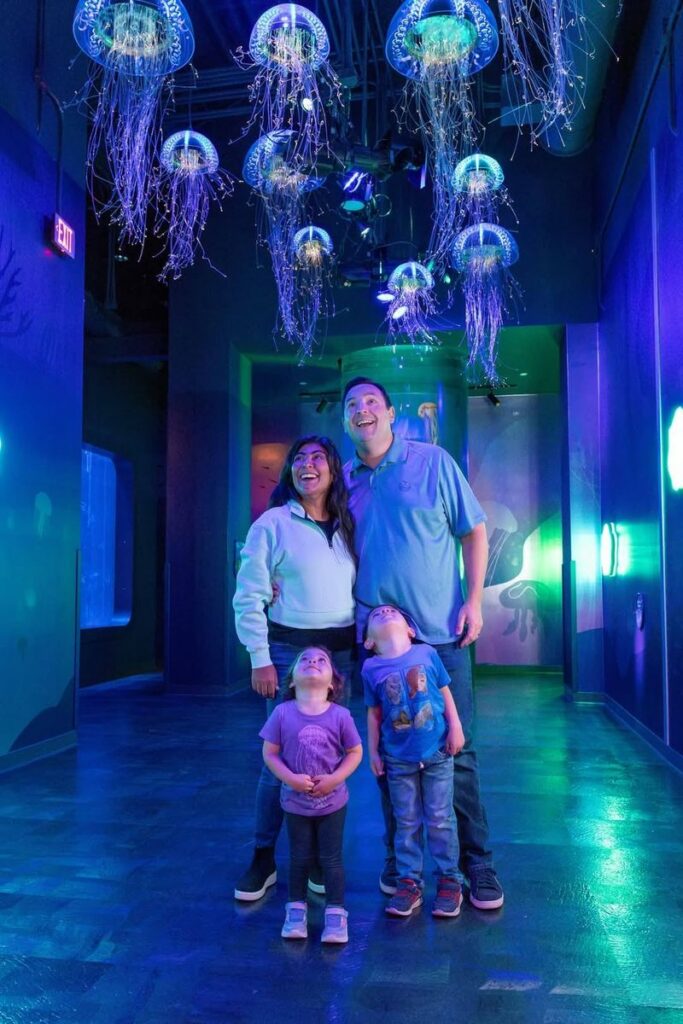 SeaWorld San Diego: Jewels Of The Sea: A Jellyfish Experience