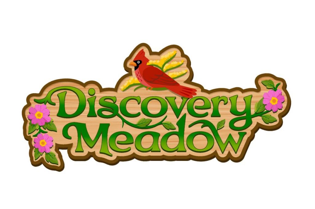 Kentucky Kingdom: Discovery Meadow