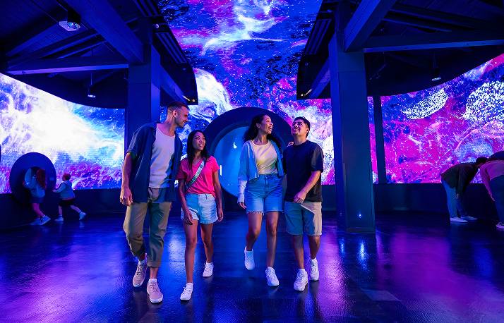 SeaWorld San Diego: Jewels Of The Sea: A Jellyfish Experience