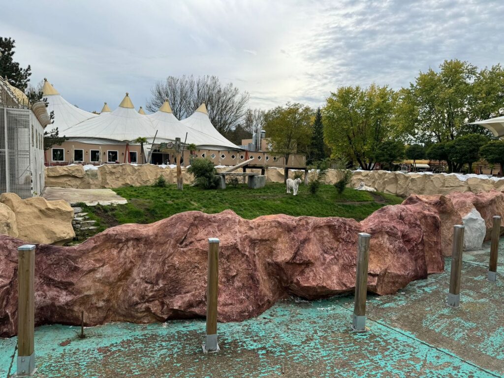 Safariland Stukenbrock: Renovierung Tigerhaus
