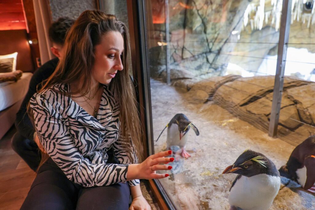 Pairi Daiza: Rekord für 2025 bereits jetzt erreicht