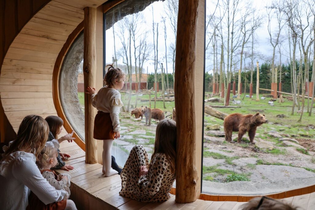 Pairi Daiza: Rekord für 2025 bereits jetzt erreicht