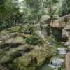 Rainforest Wild Asia: Erster Teil öffnet 2025