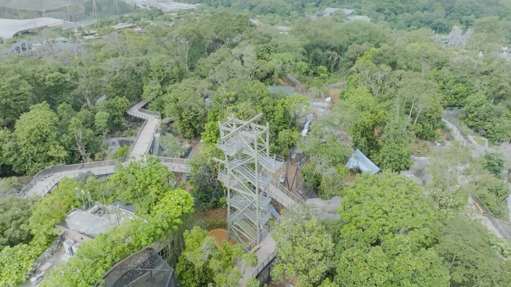 Rainforest Wild Asia: Erster Teil öffnet 2025